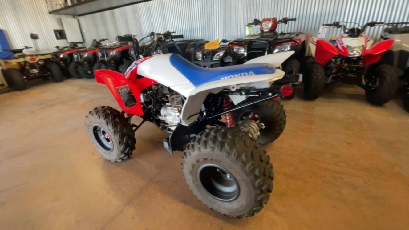 A photo of this 2026 Honda® TRX250X