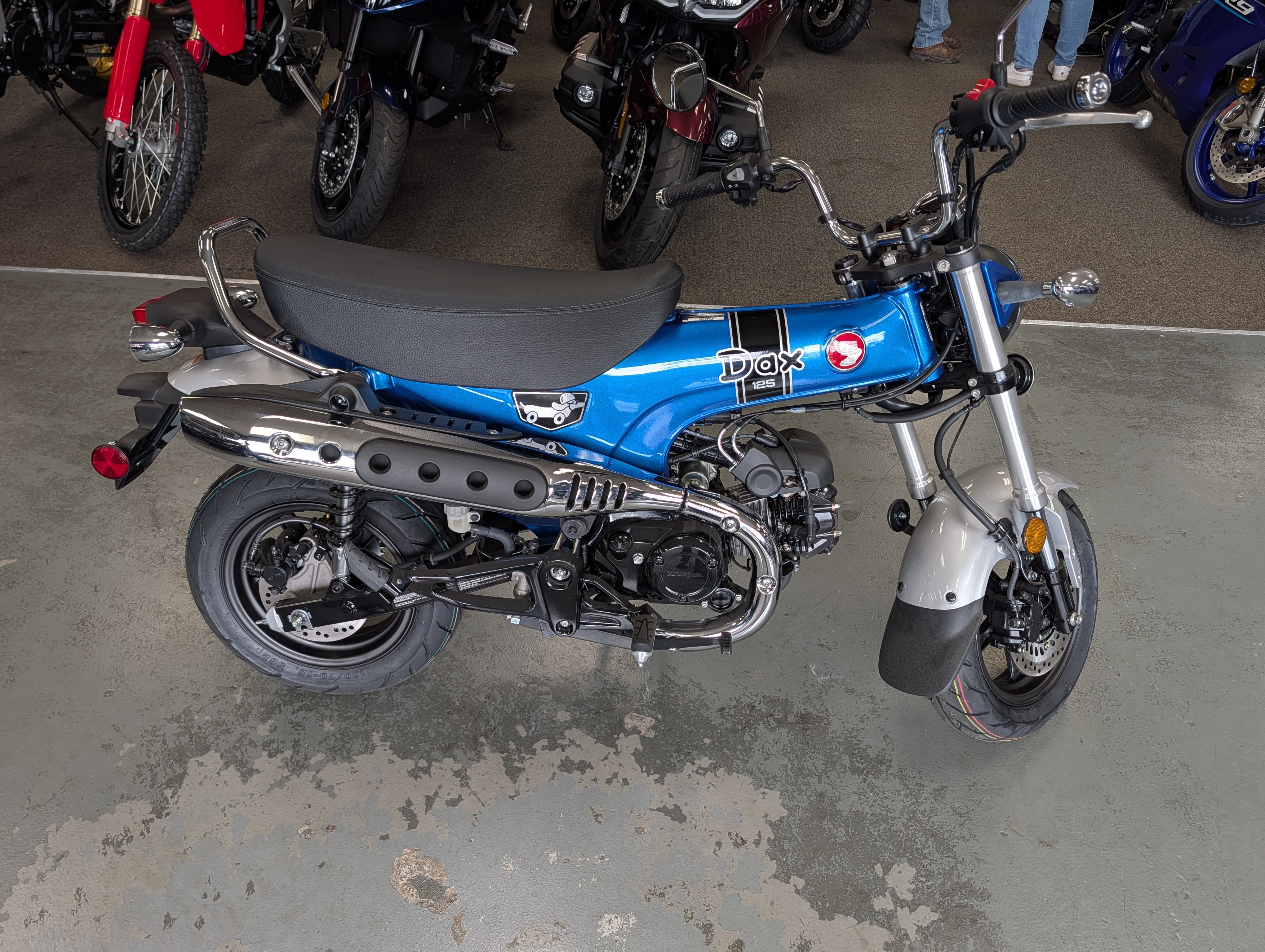 2025 Honda Dax 125 ABS 125 in Maumee, OH