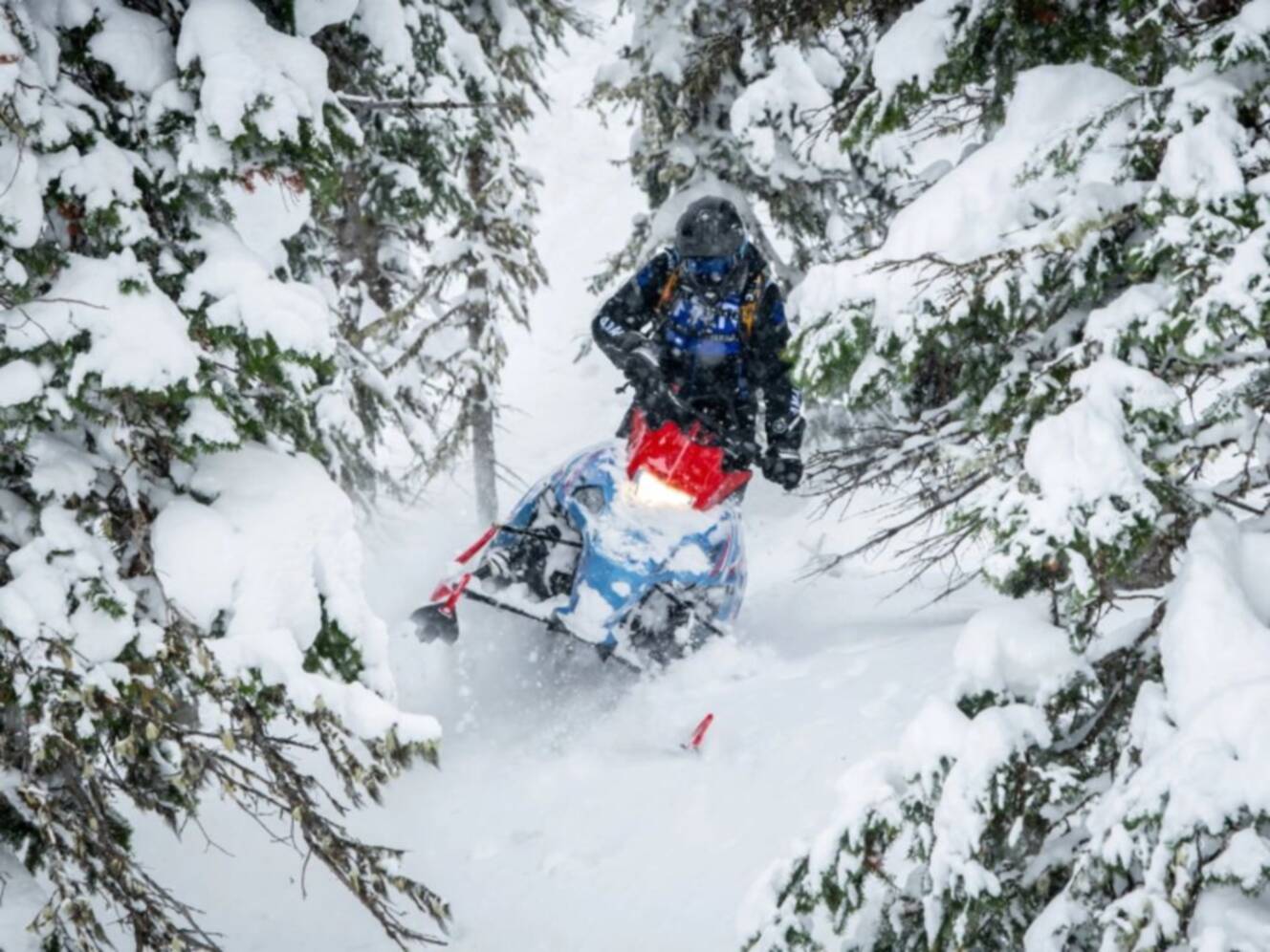 A photo of this 2024 Yamaha SXVenom Mountain