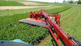 2026 NEW HOLLAND DISCBINE 310 PLUS in Charles City, IA