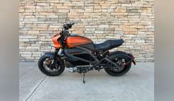 2020 Harley-Davidson ELW LIVEWIRE UTV/Utility ATV