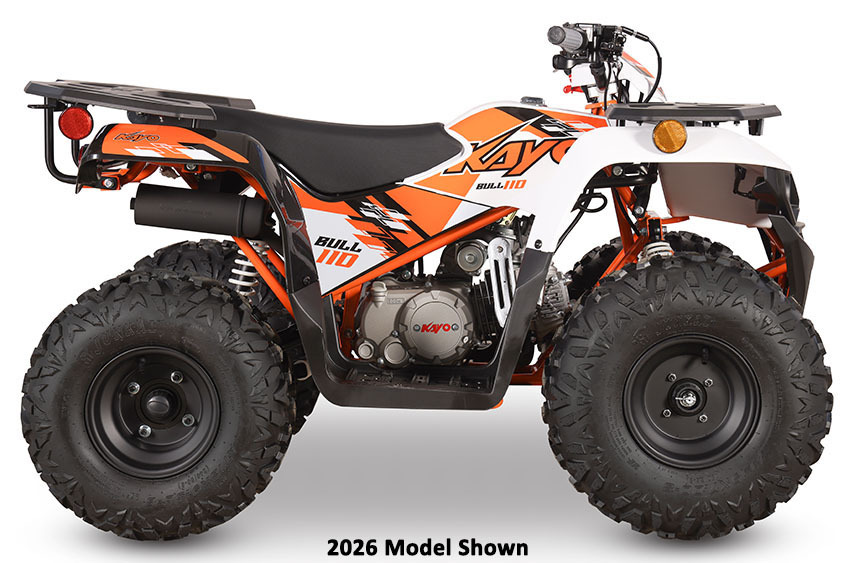 2027 Kayo Bull 110 in canton OH
