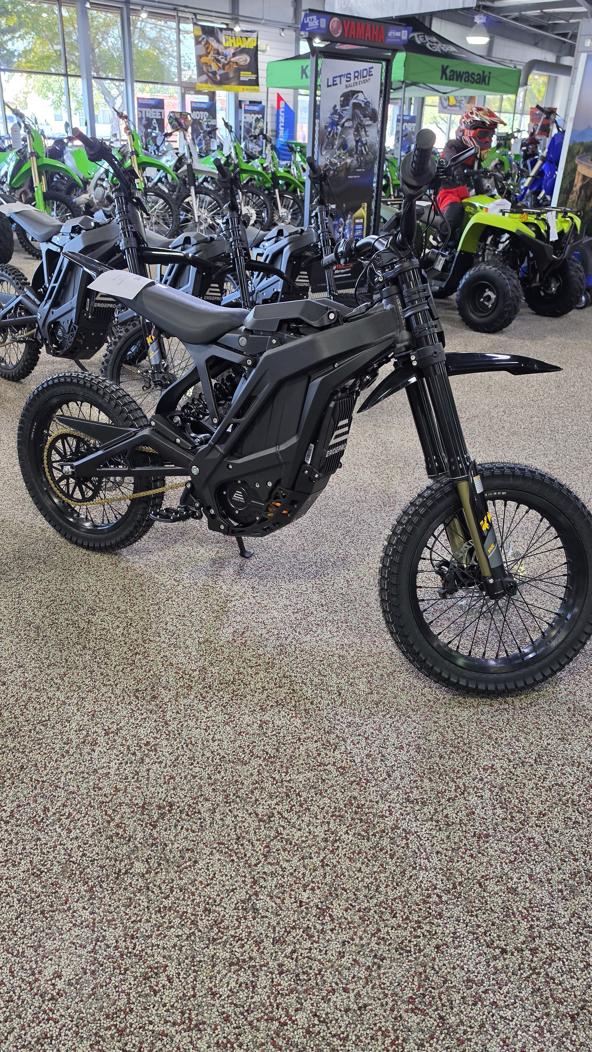 2026 E-Ride Pro PRO S 16" in Bear, DE