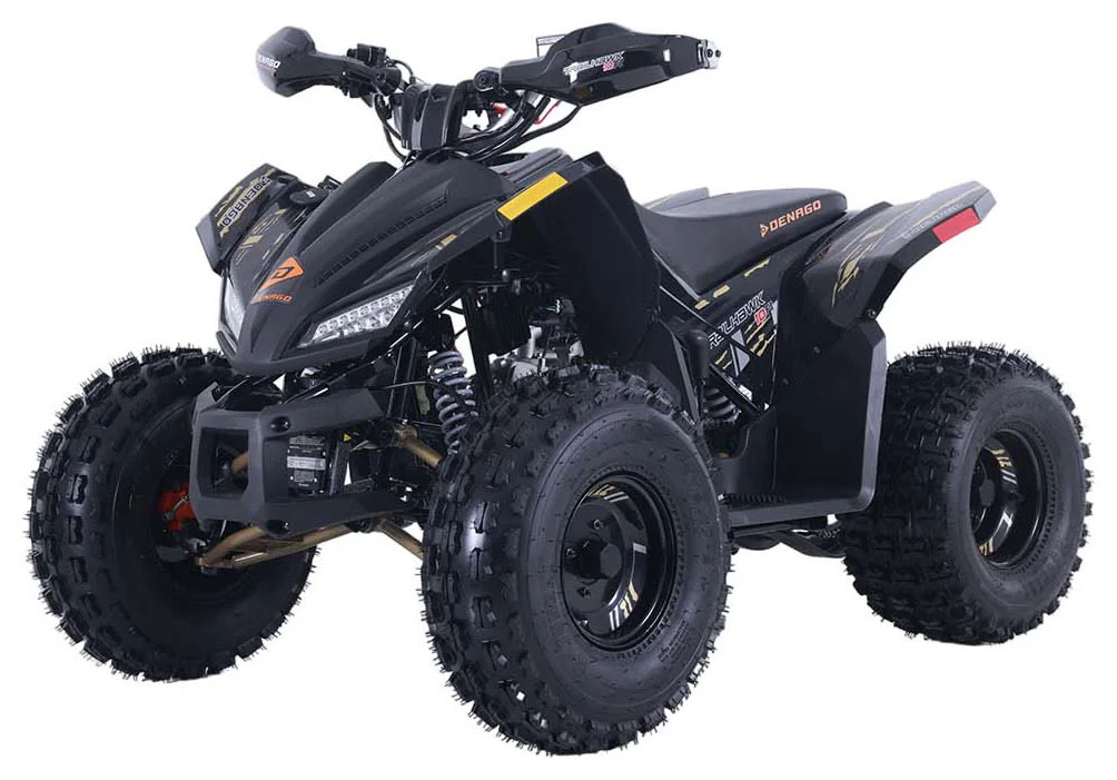 2026 Denago Powersports Trailhawk 10FI in georgetown KY