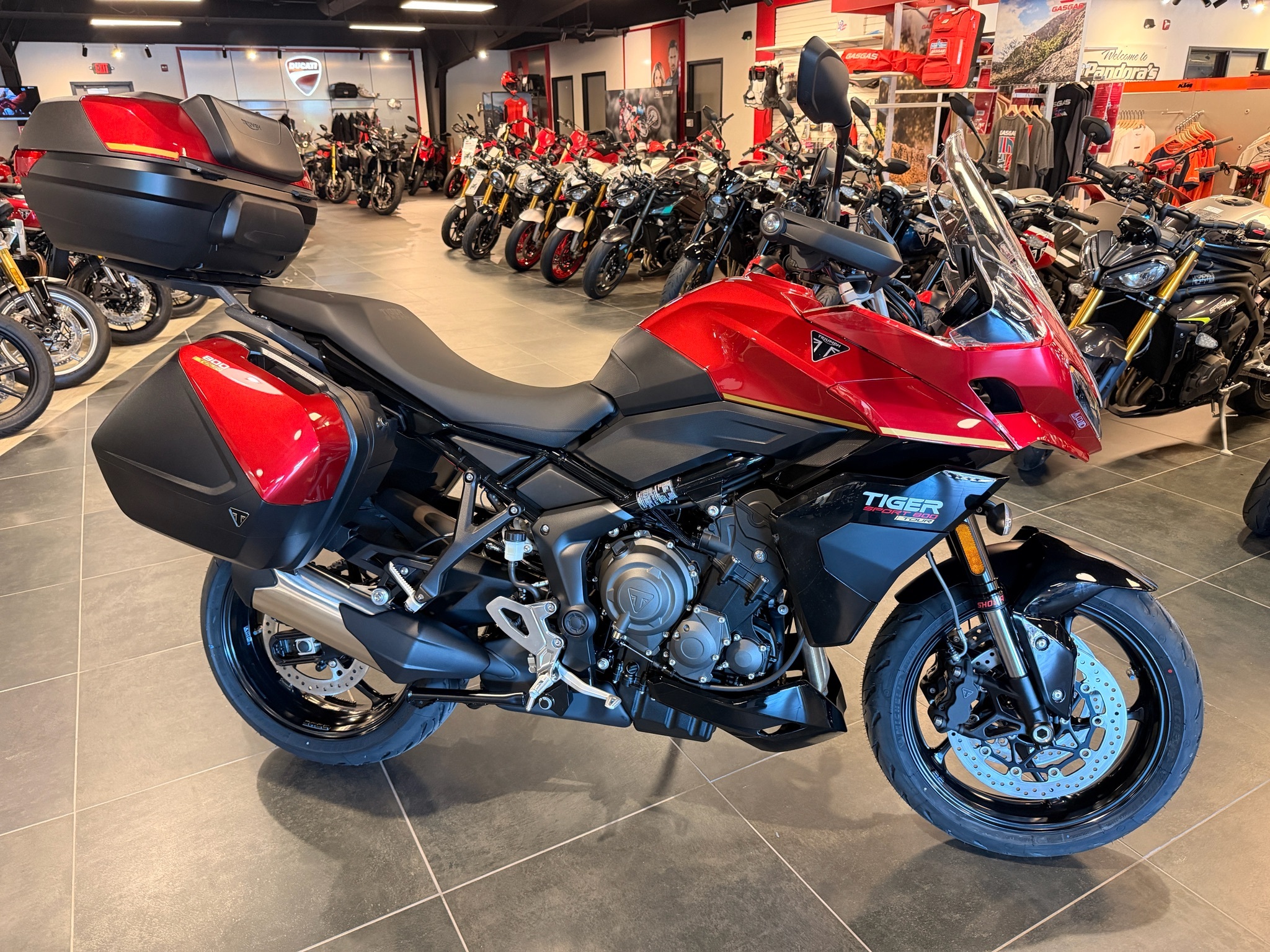 2026 Triumph Tiger Sport 800 Tour SPORT in Chattanooga, TN