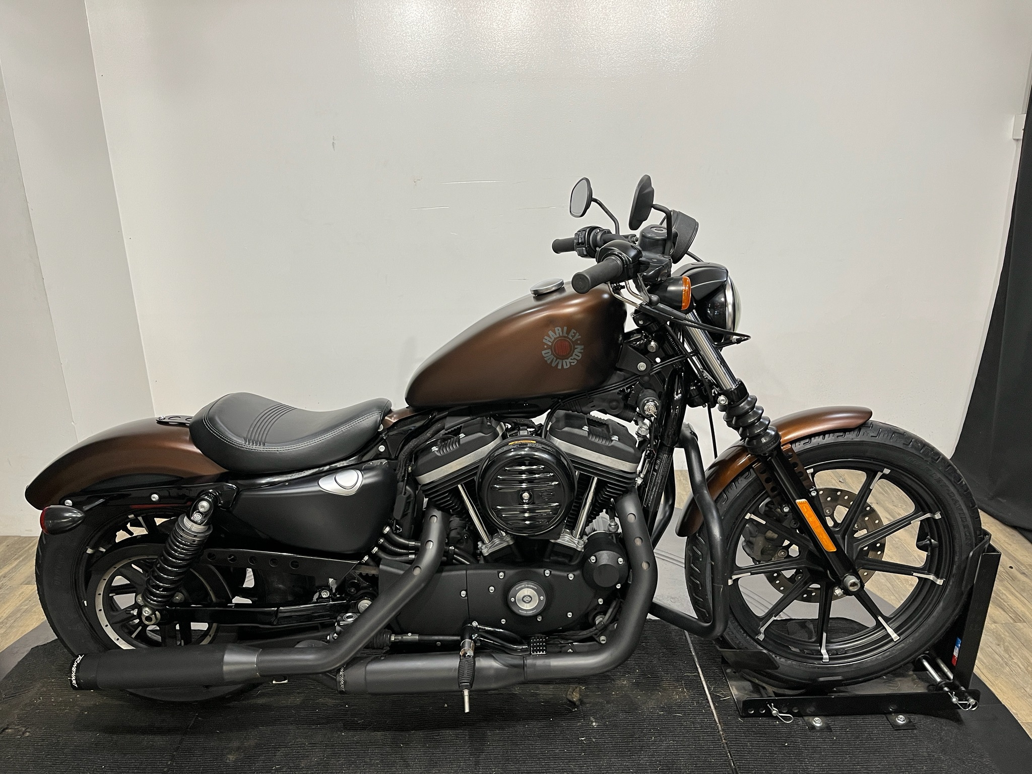 2019 Harley-Davidson Iron 883™ IRON in Wauconda, IL