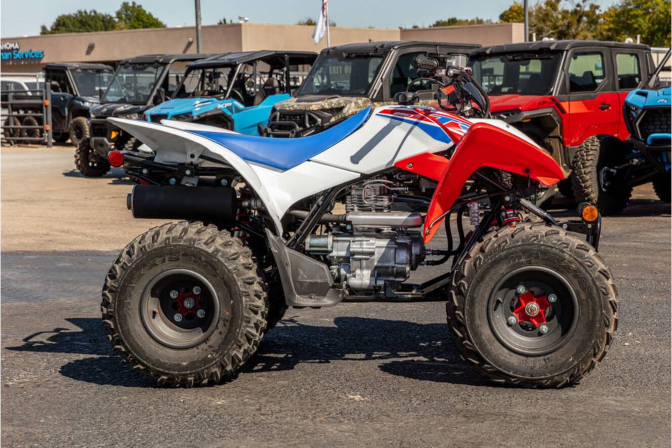 A photo of this 2026 Honda® TRX250X