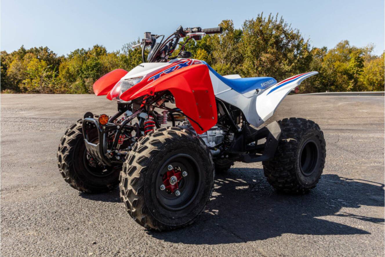 A photo of this 2026 Honda® TRX250X