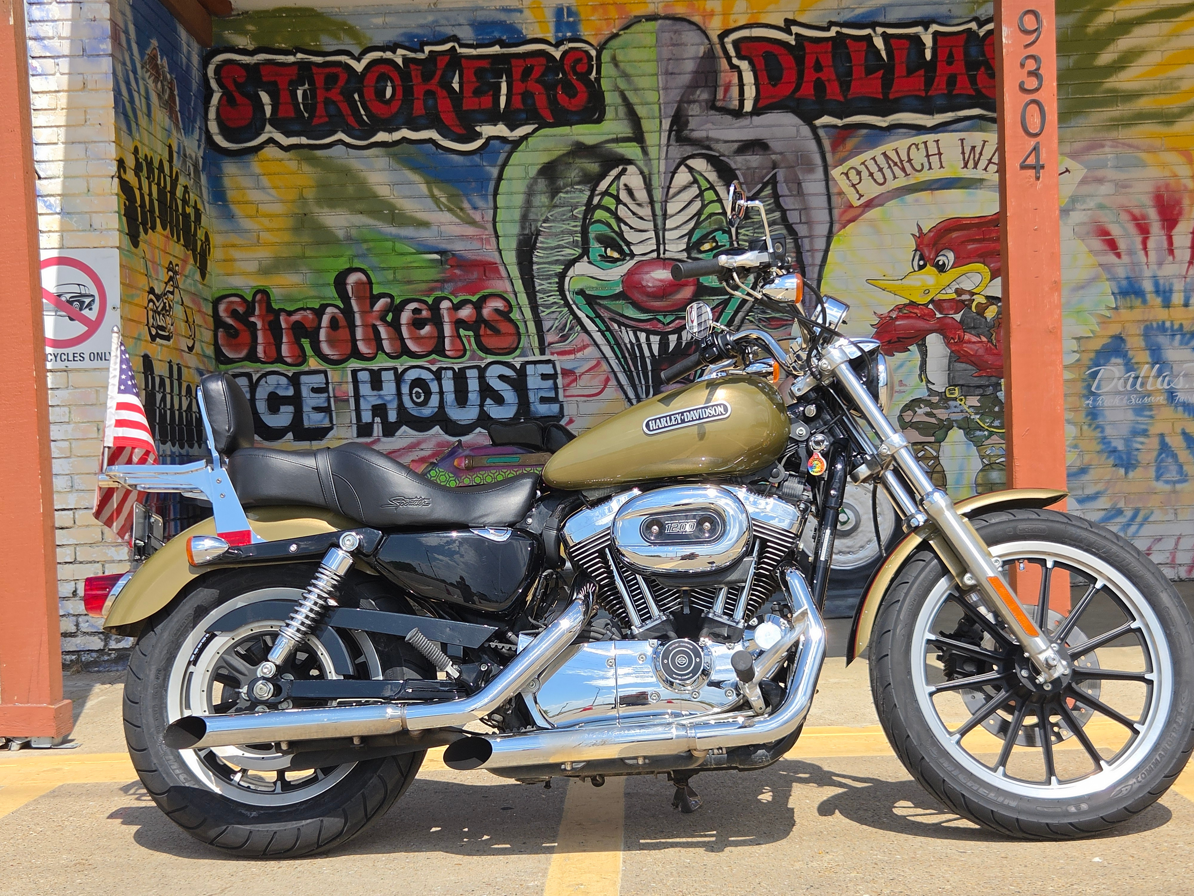 2007 Harley-Davidson Sportster® 1200 Custom in Dallas, TX
