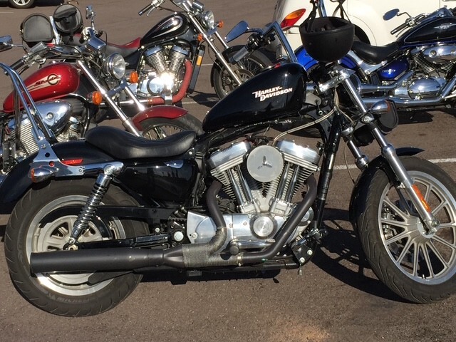 2008 Harley-Davidson SPORTSTER 883 CUSTOM CUSTOM in Phoenix, AZ