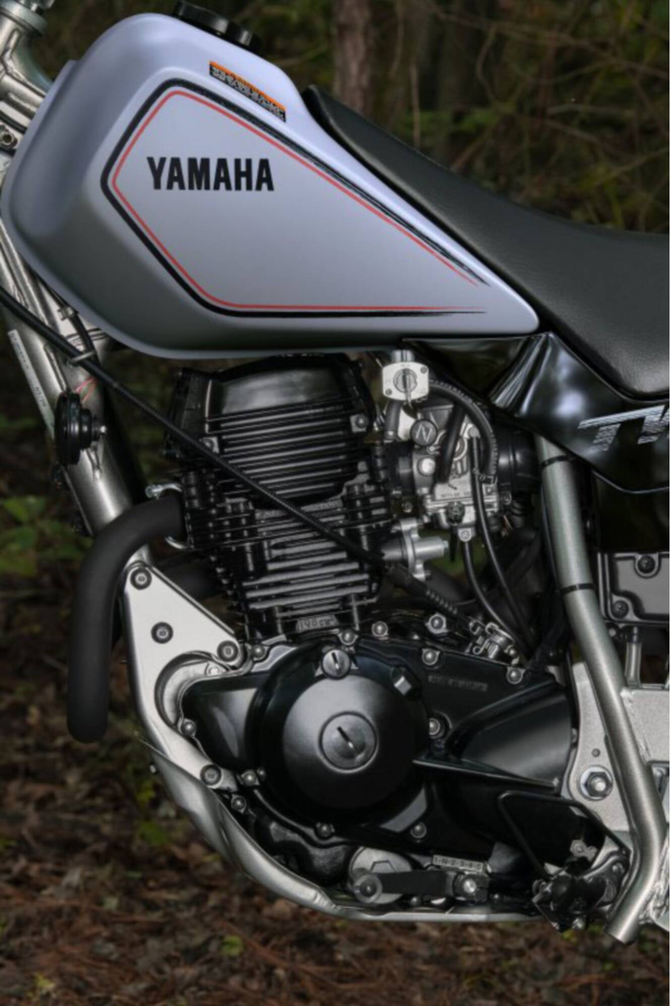 A photo of this 2027 Yamaha TW200