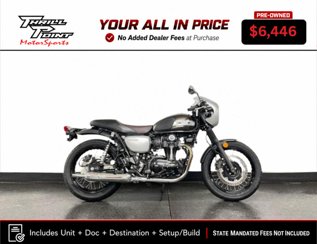 2019 Kawasaki W800 Cafe 800 CAFE in Medina, OH