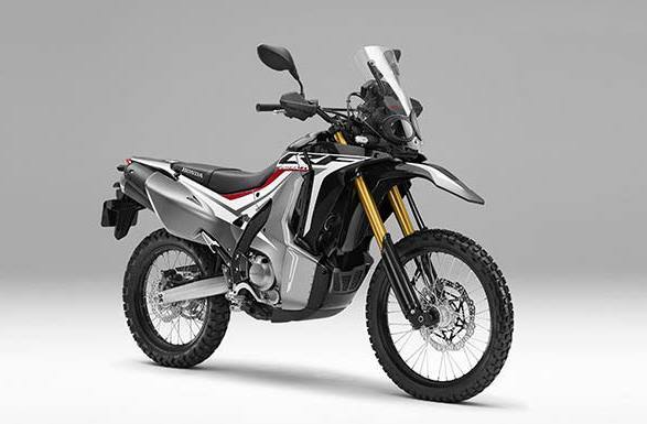 2018 Honda CRF250L Rally 250L RALLY in Petoskey, MI