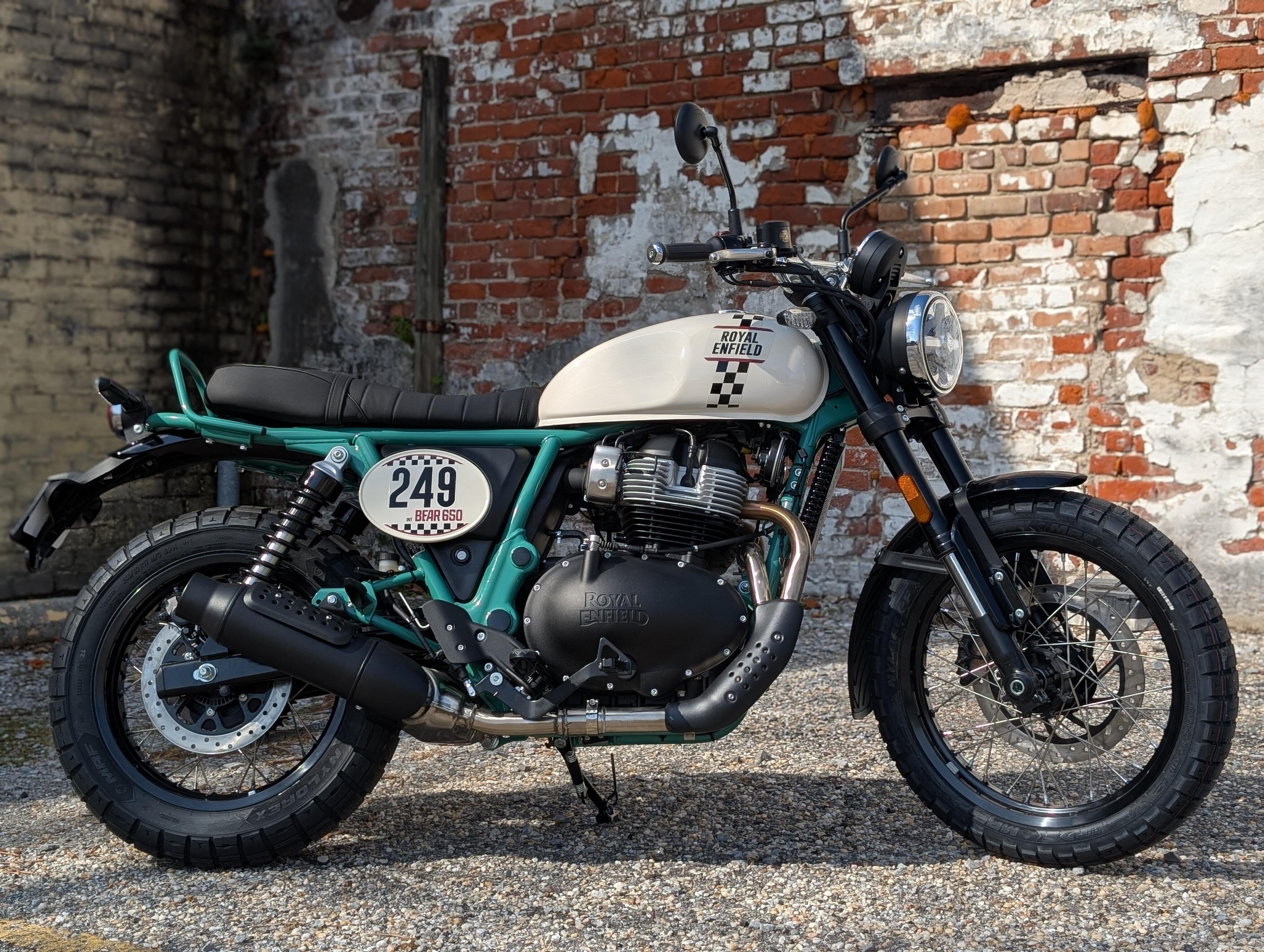 2026 Royal Enfield INT BEAR 650 650 in New Orleans, LA
