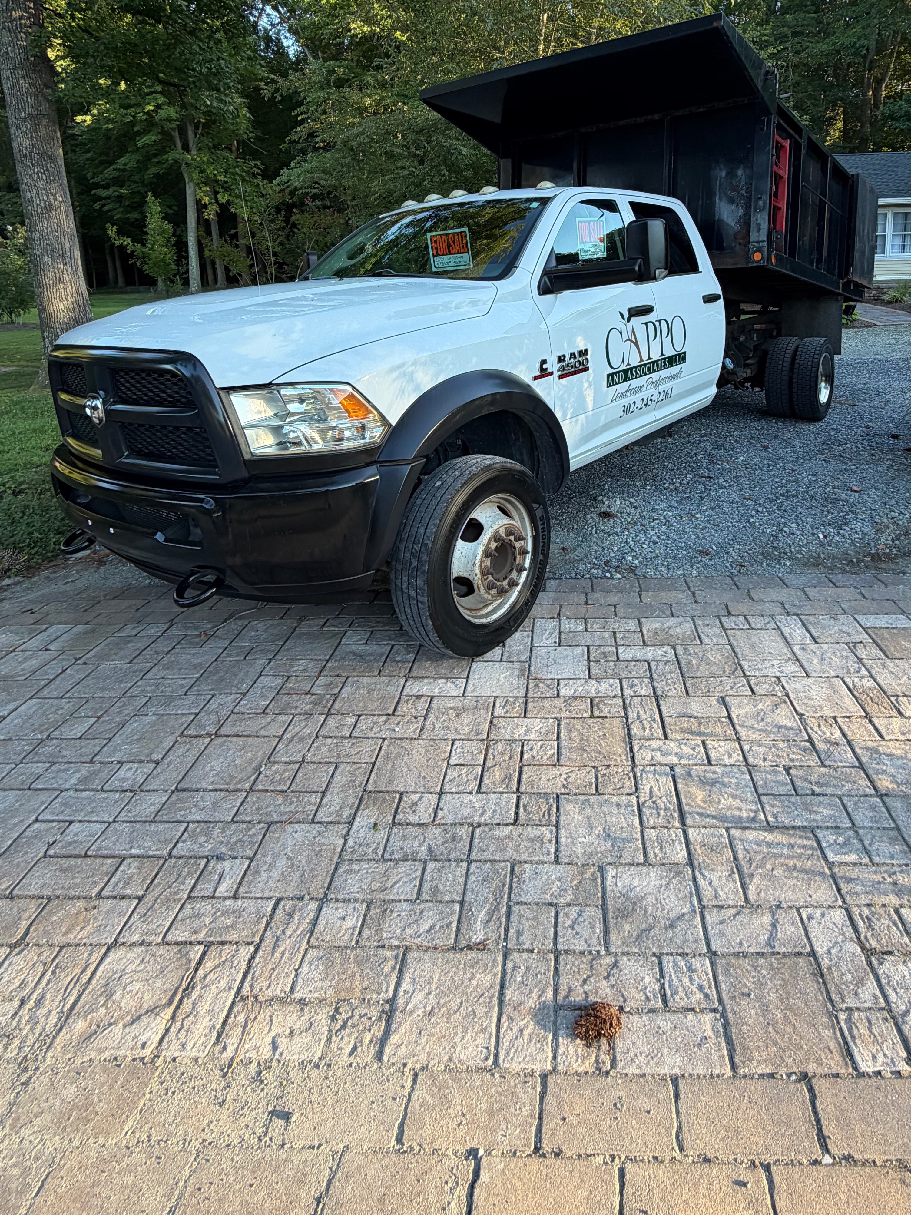 2015 RAM 4500 CREW CAB CHASSIS in Frankford, DE