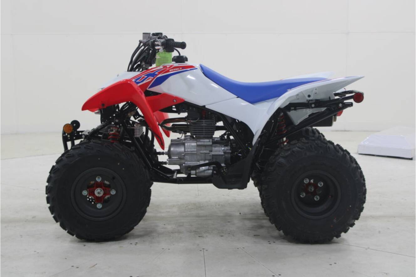 A photo of this 2026 Honda TRX 250X