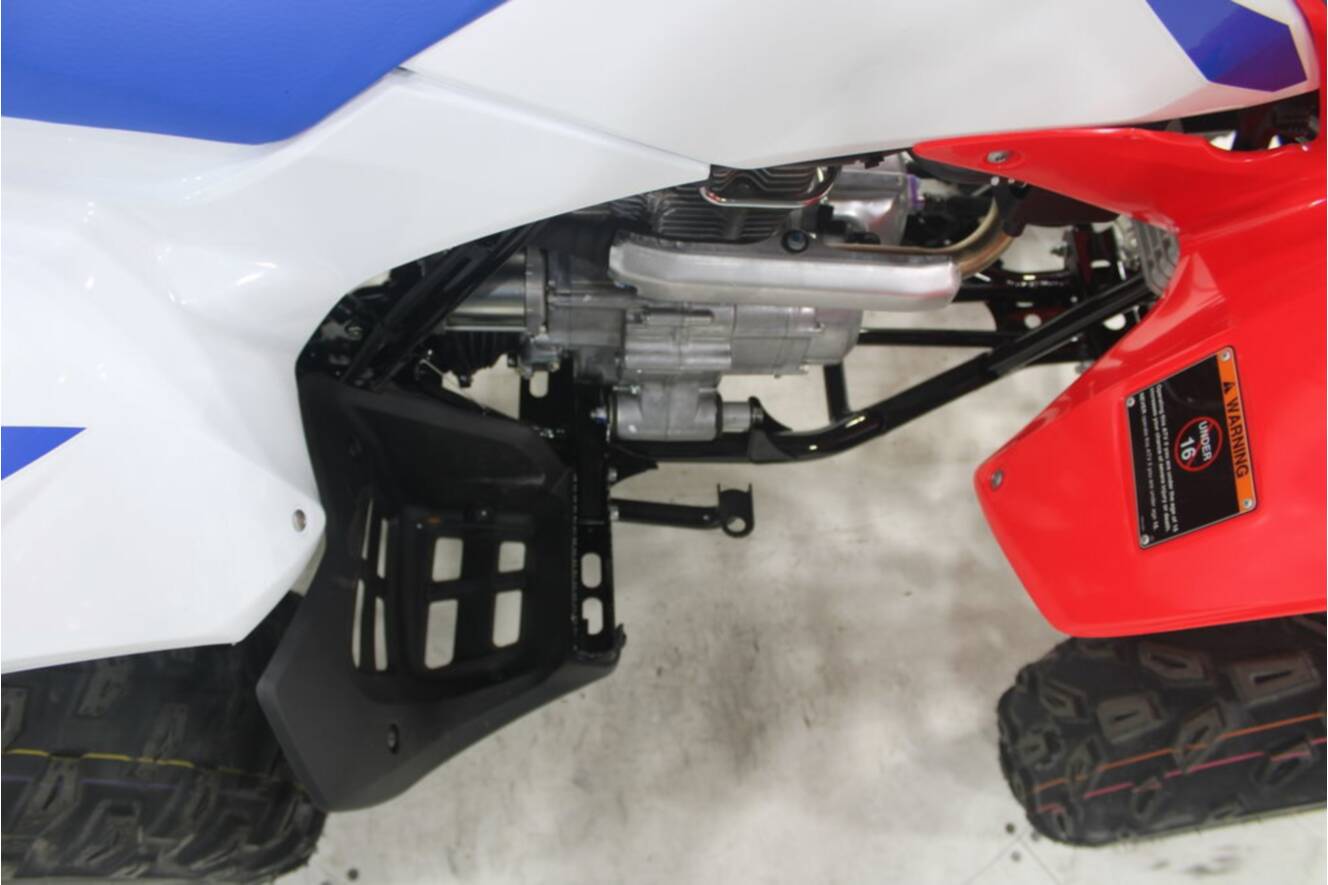 A photo of this 2026 Honda TRX 250X