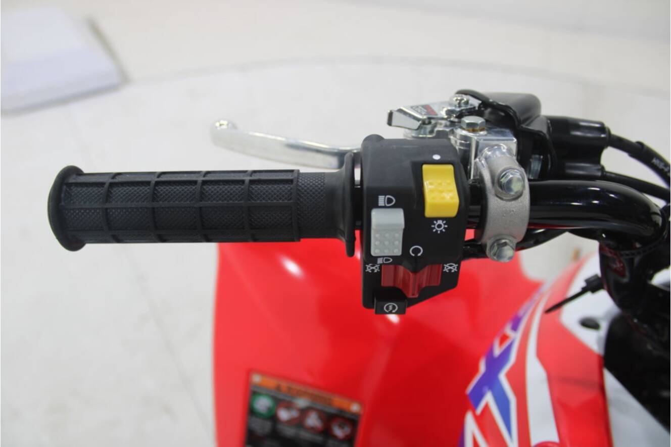 A photo of this 2026 Honda TRX 250X