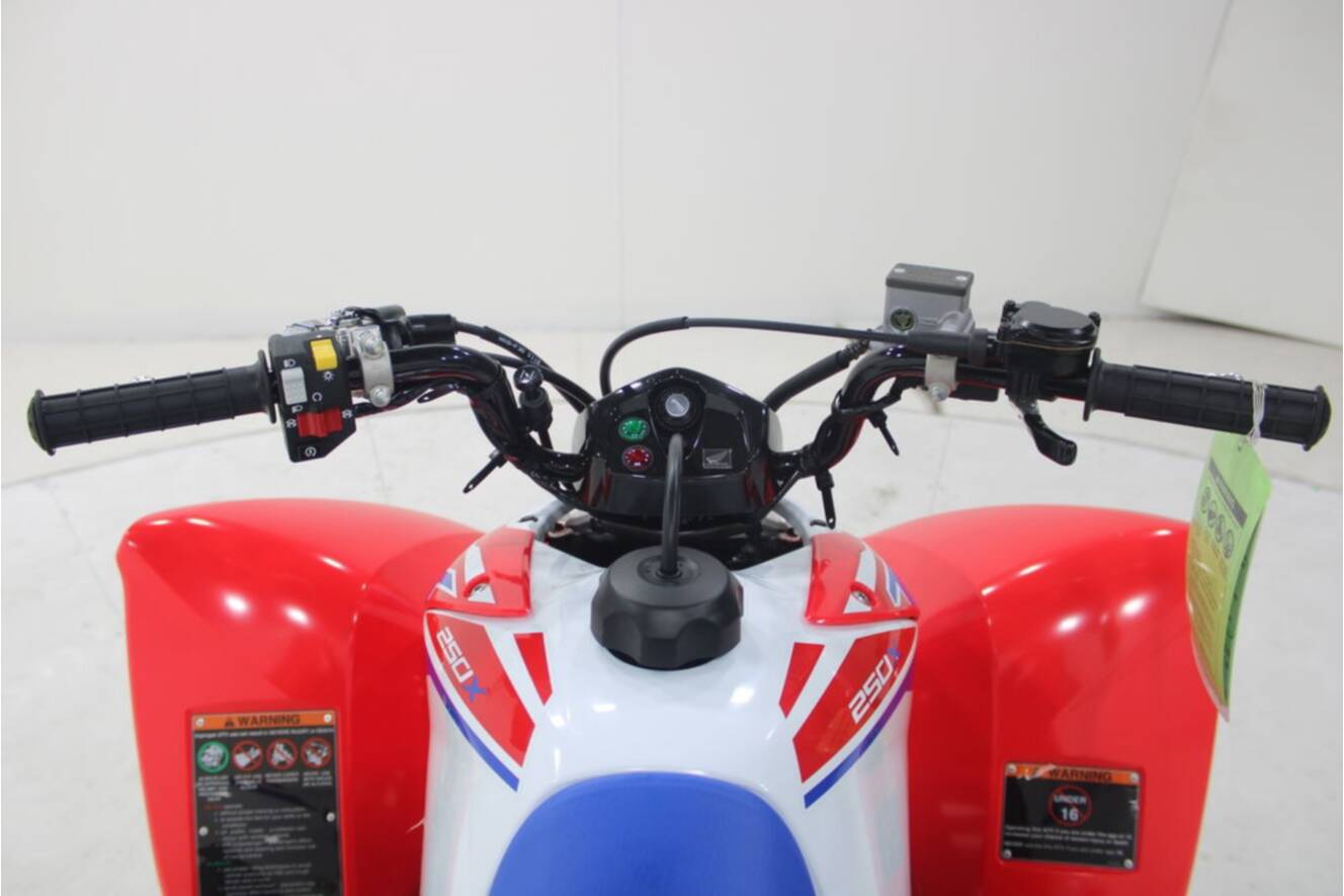 A photo of this 2026 Honda TRX 250X