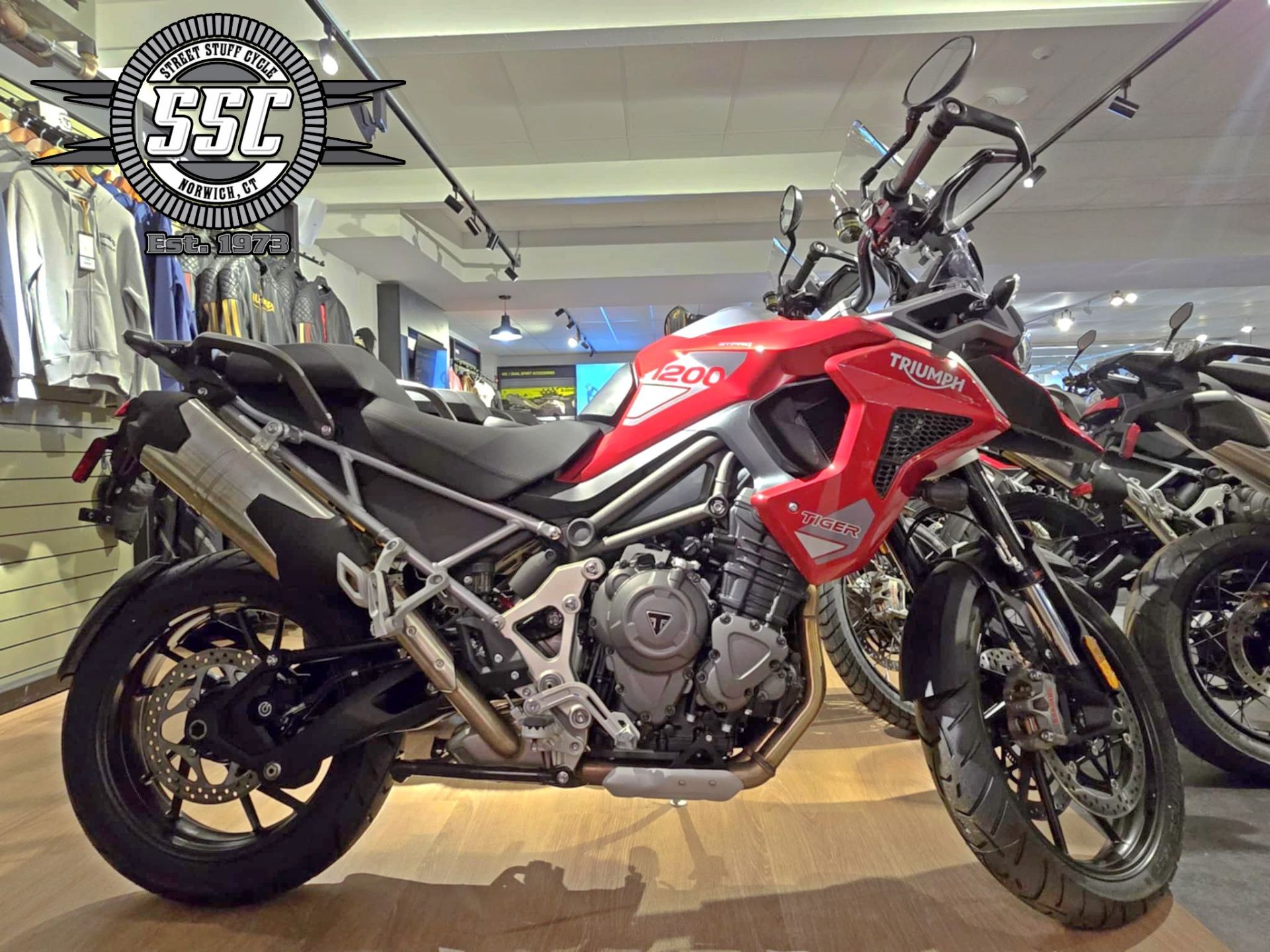 2025 Triumph Tiger 1200 GT Pro GT PRO in Norwich, CT