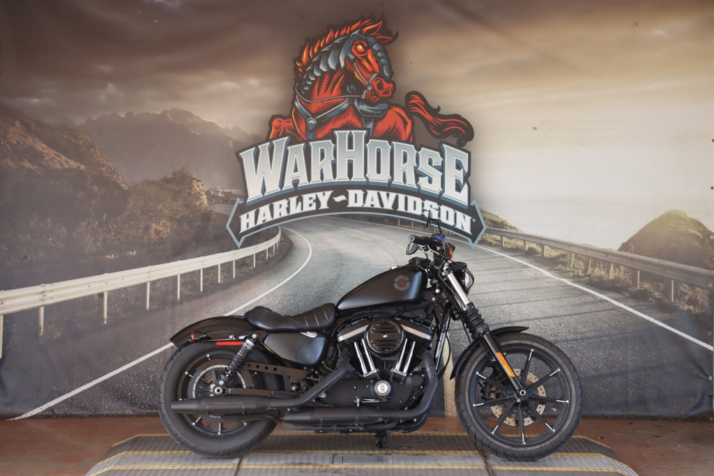 2020 Harley-Davidson Iron 883 IRON in Ocala, FL