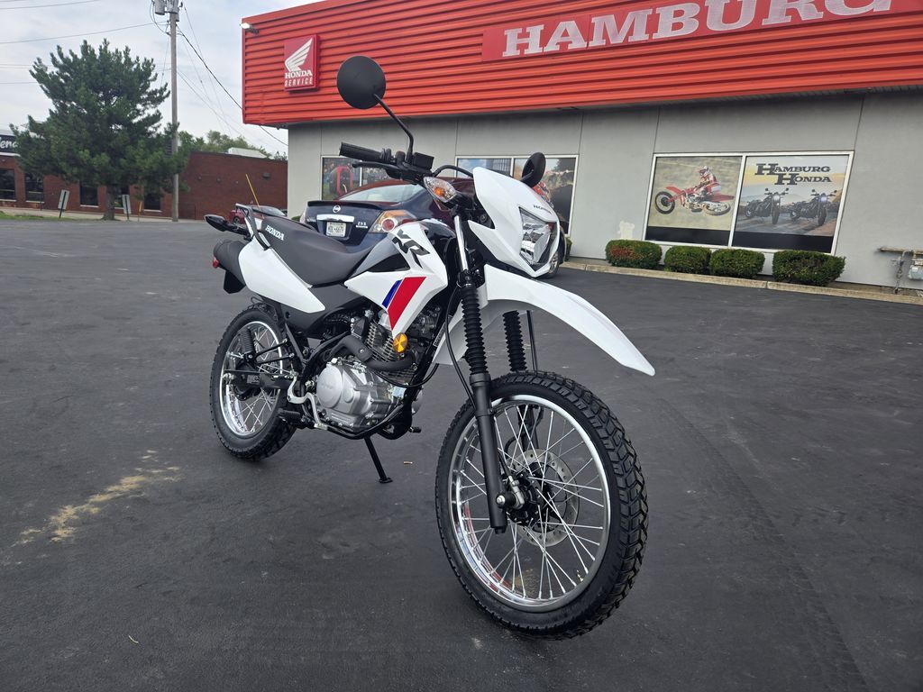 2025 Honda® XR150L 150L in Hamburg, NY