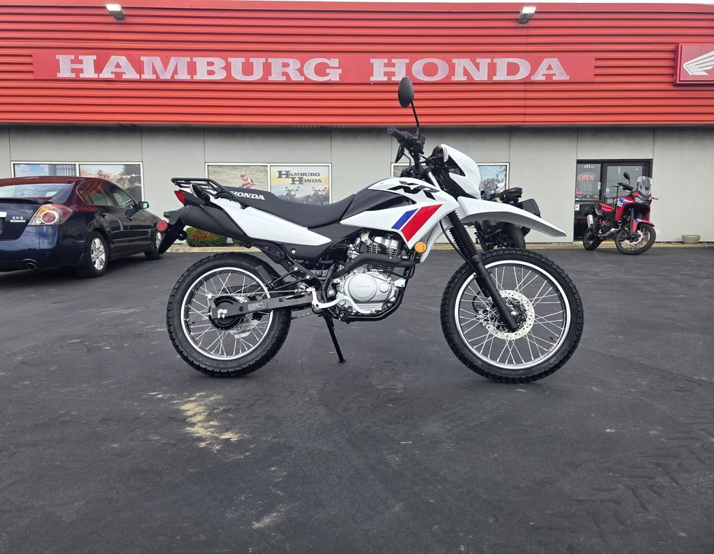 2025 Honda® XR150L 150L in Hamburg, NY
