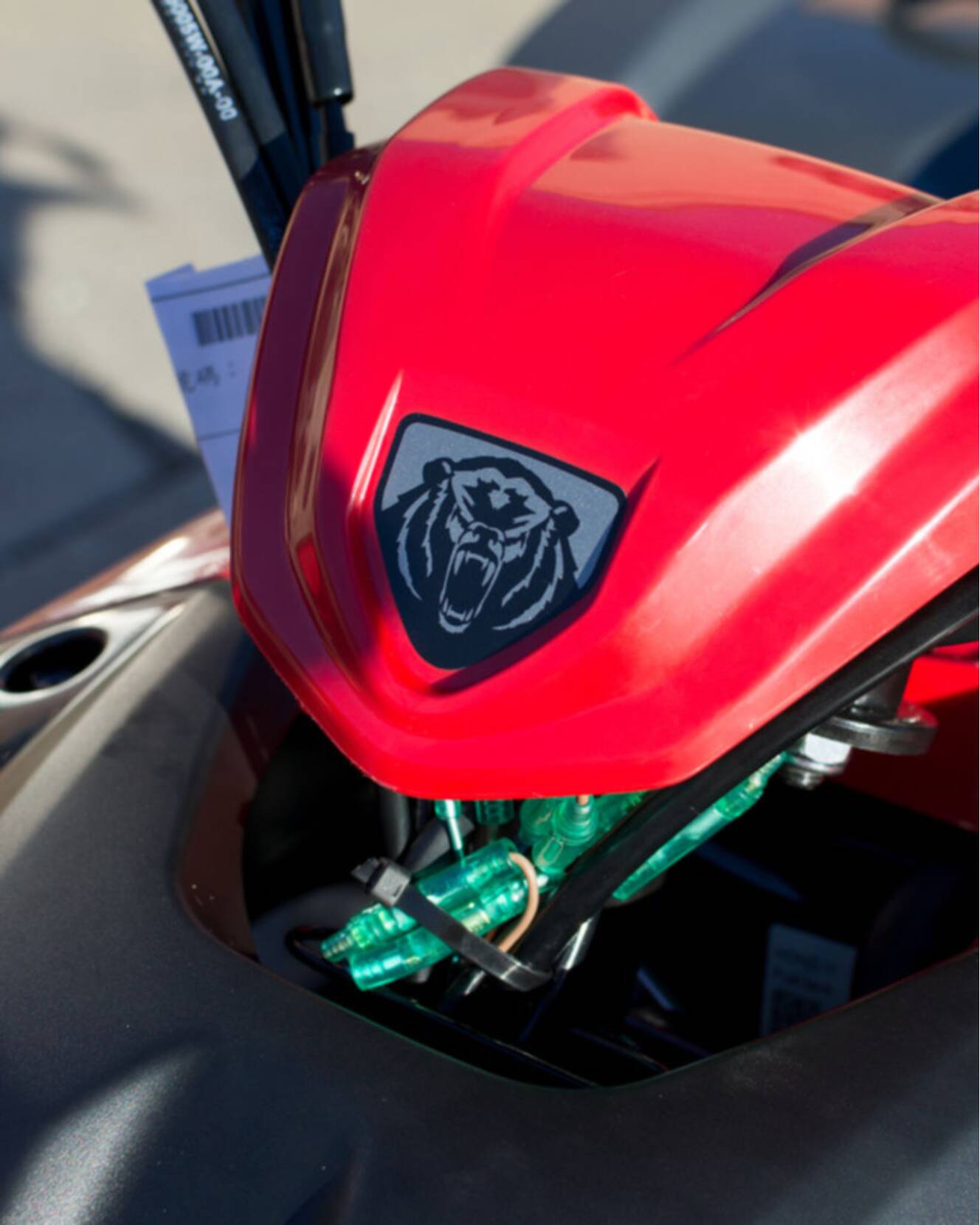 A photo of this 2025 Yamaha Grizzly 110