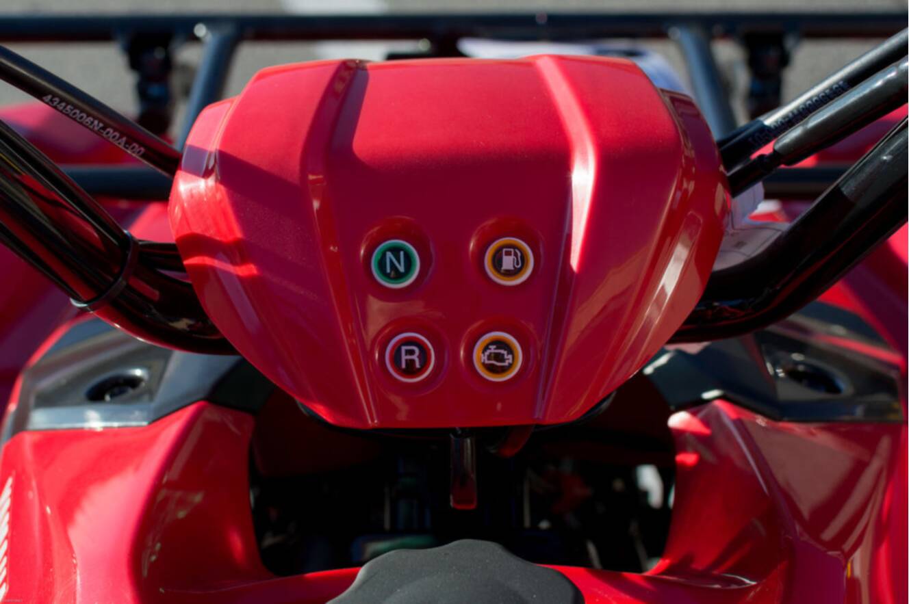 A photo of this 2025 Yamaha Grizzly 110
