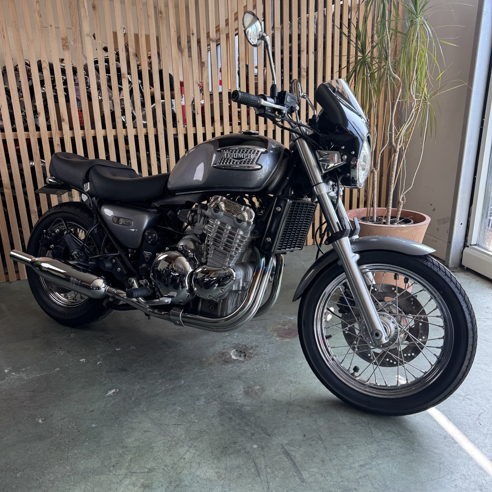 2002 Triumph THUNDERBIRD 900 900 in Seattle, WA