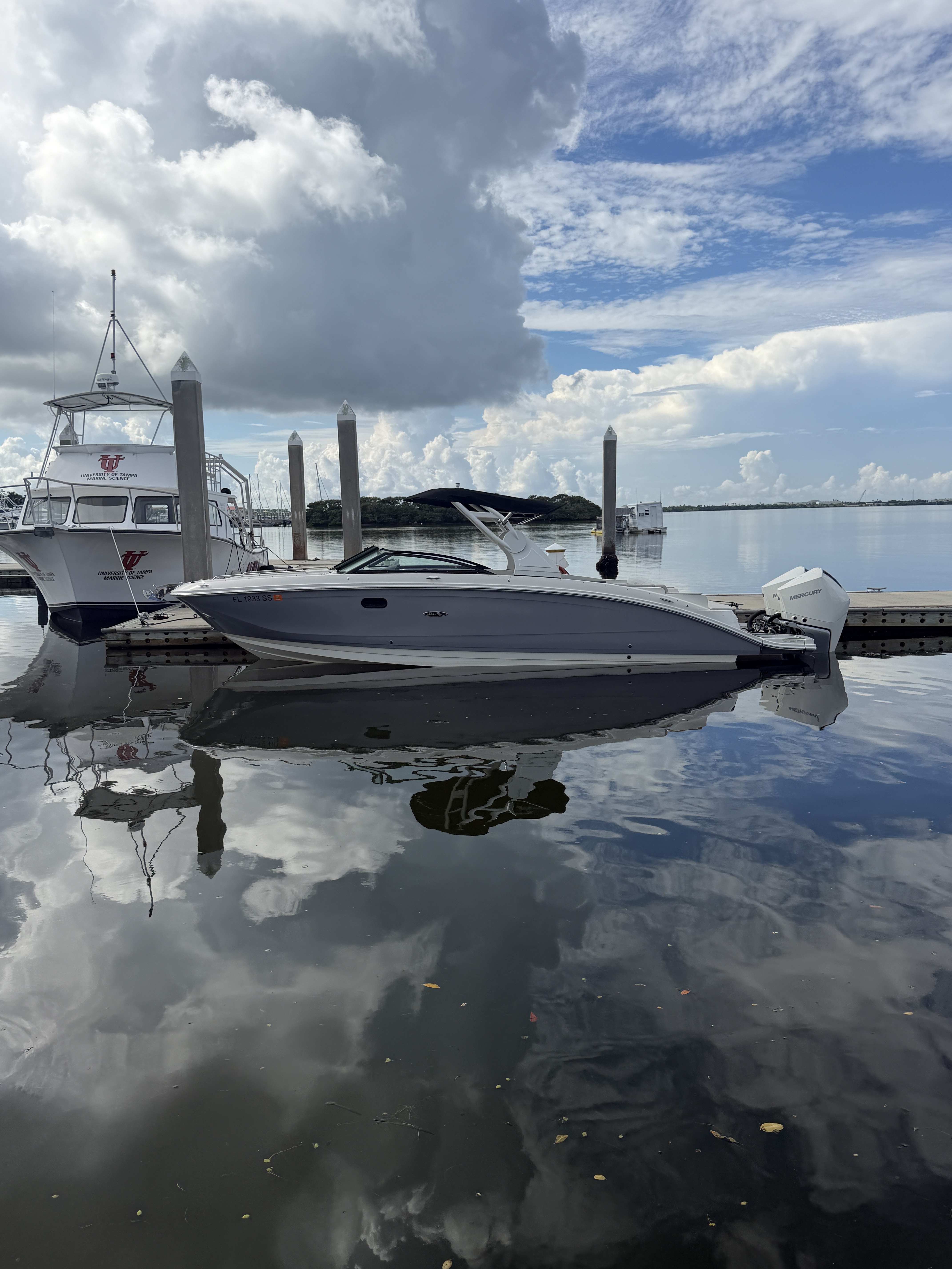 2020 Sea Ray 290 SDX OB 290 OUTBOARD in clearwater FL