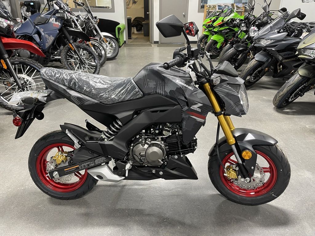 2024 Kawasaki Z125 PRO Cypher Camo Gray Matte/Metallic Matte Carbon G BASE in Ann Arbor, MI