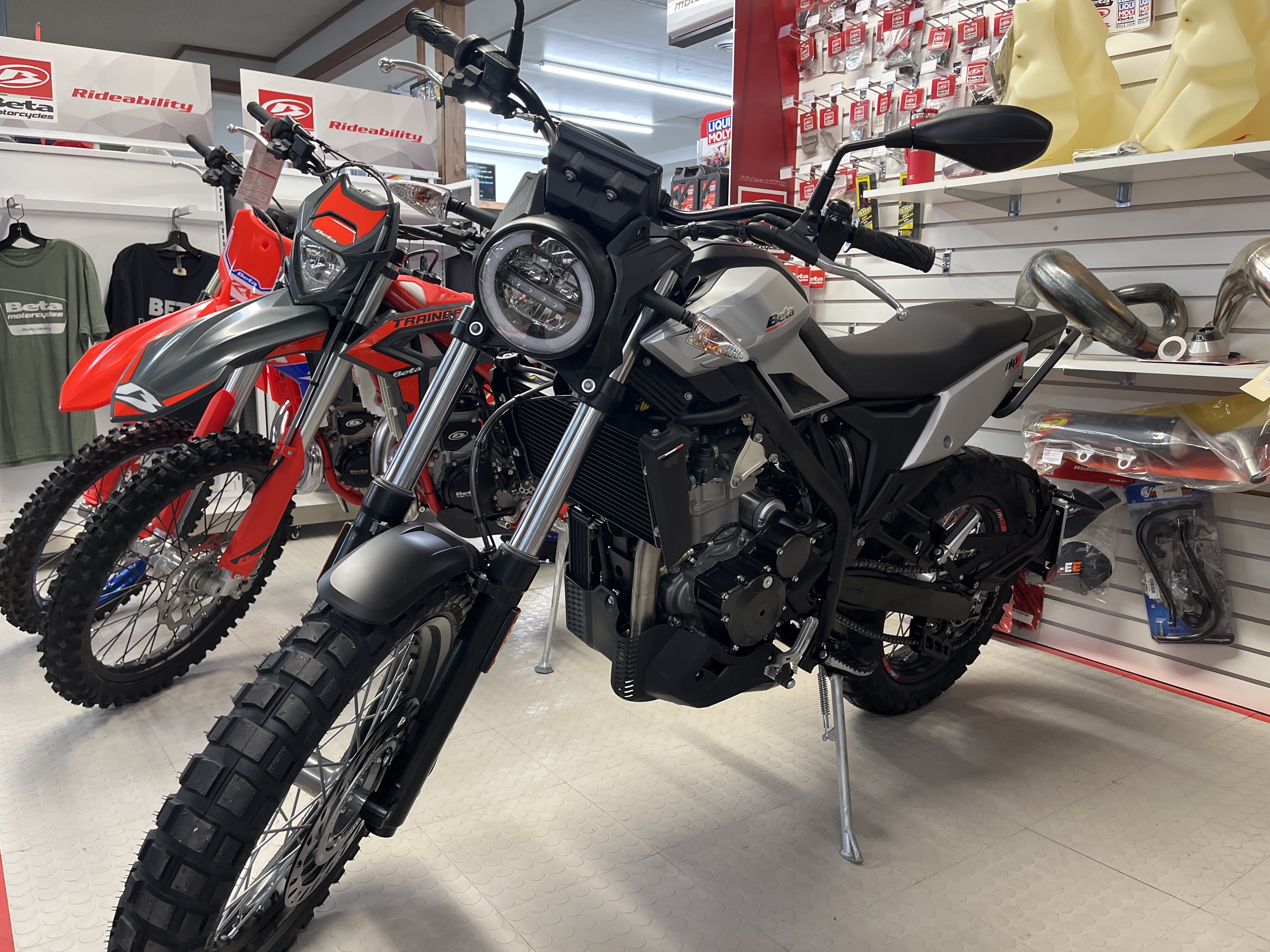 2026 Beta Motorcycles Alp X in mora MN