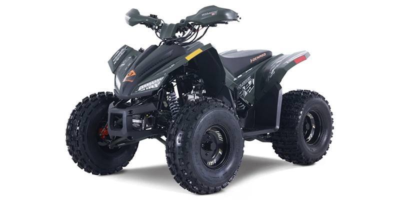 2026 Denago Powersports Trailhawk 10FI in jackson OH