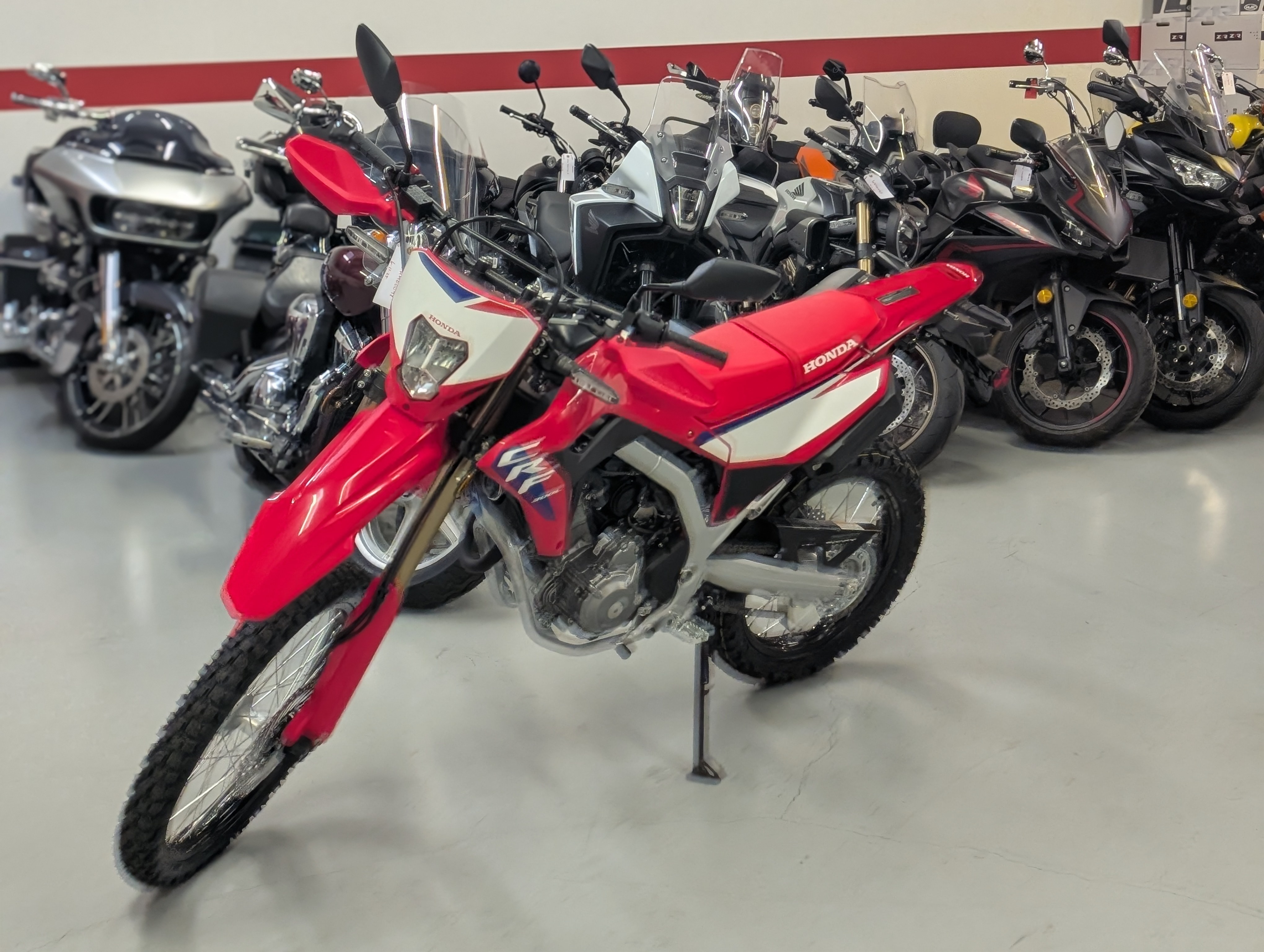 2025 Honda CRF 300LA 300L in Cumberland, MD
