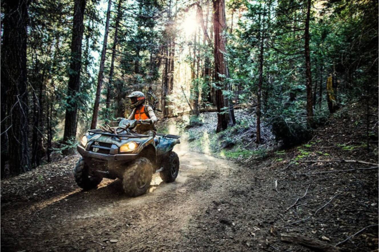 A photo of this 2020 Kawasaki Brute Force 750 4x4i EPS Camo