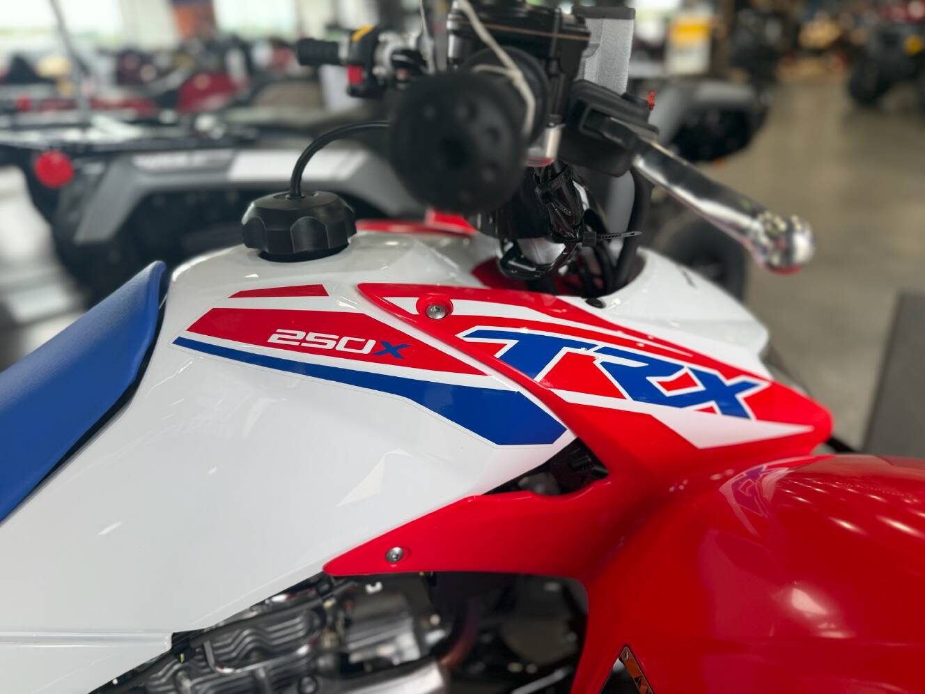 A photo of this 2026 Honda TRX250X