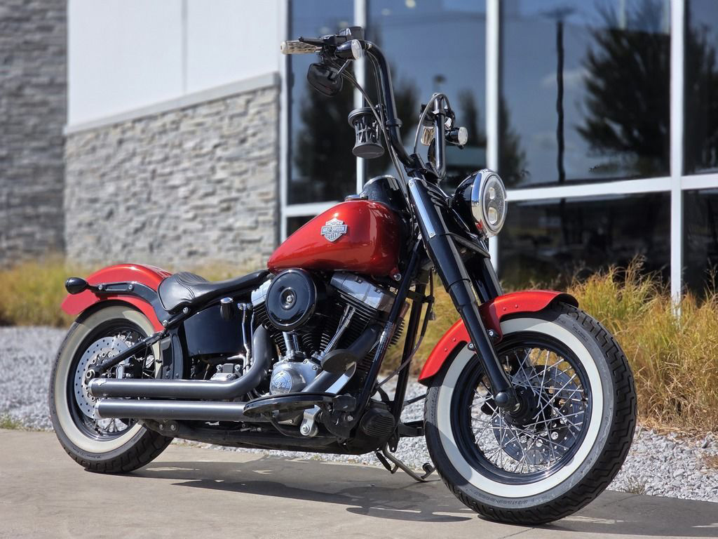 2014 Harley-Davidson Softail FLS - Slim SLIM in Mckinney, TX