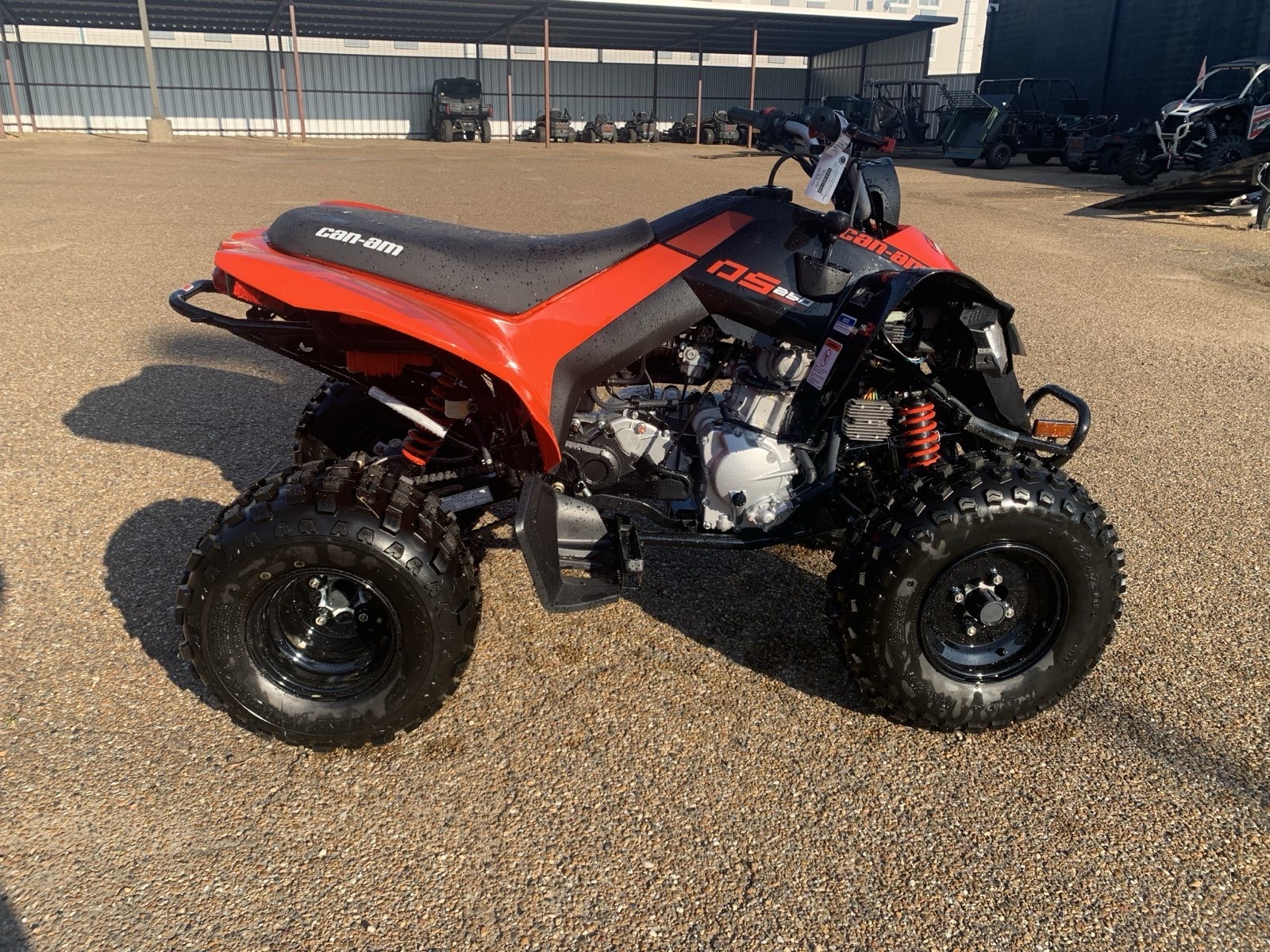 2023 Can-Am DS 250 in west monroe LA