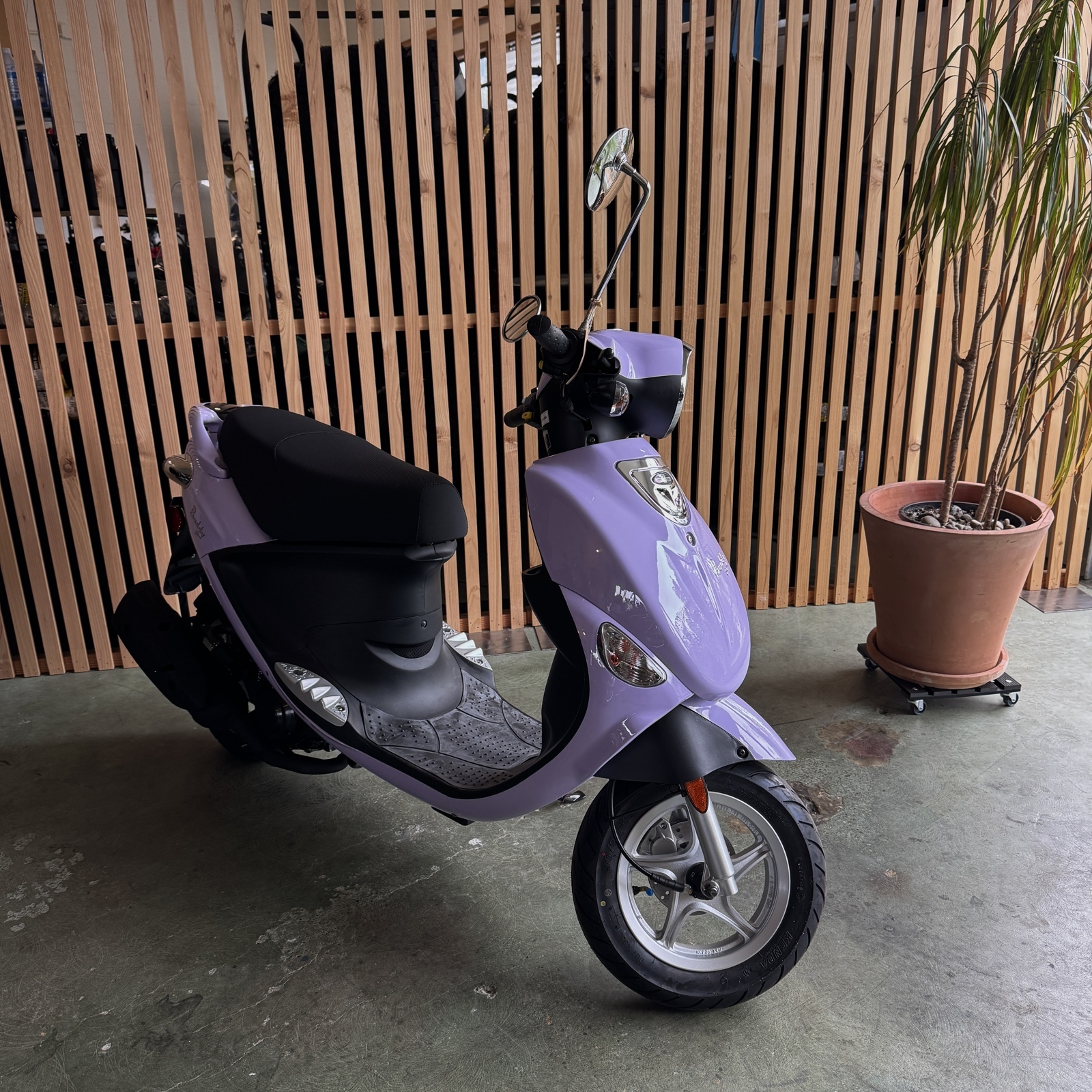 2026 Genuine Scooters BUDDY 50 LAVENDER 50 in Seattle, WA