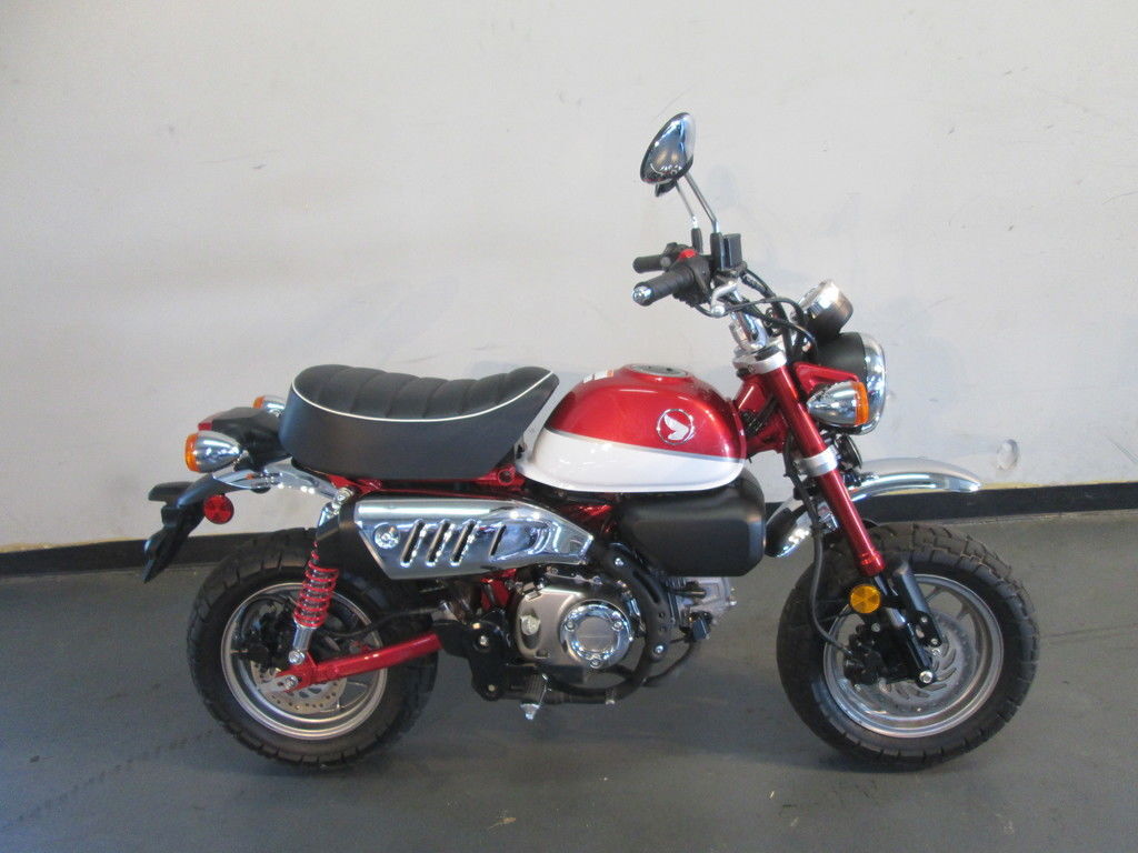 2019 Honda® Monkey in Lewis Center, OH