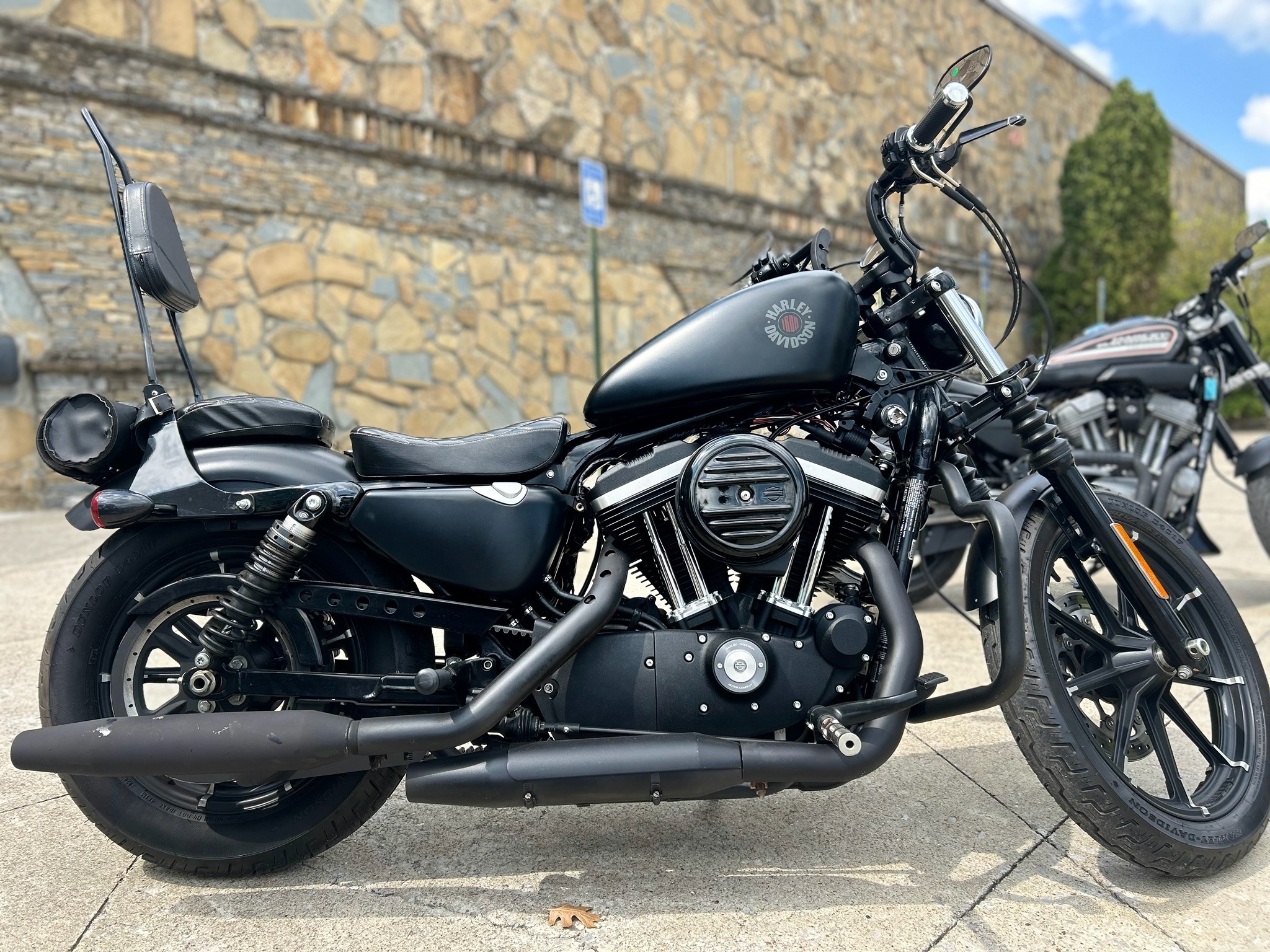 2021 Harley-Davidson Iron 883™ IRON in Columbia, TN