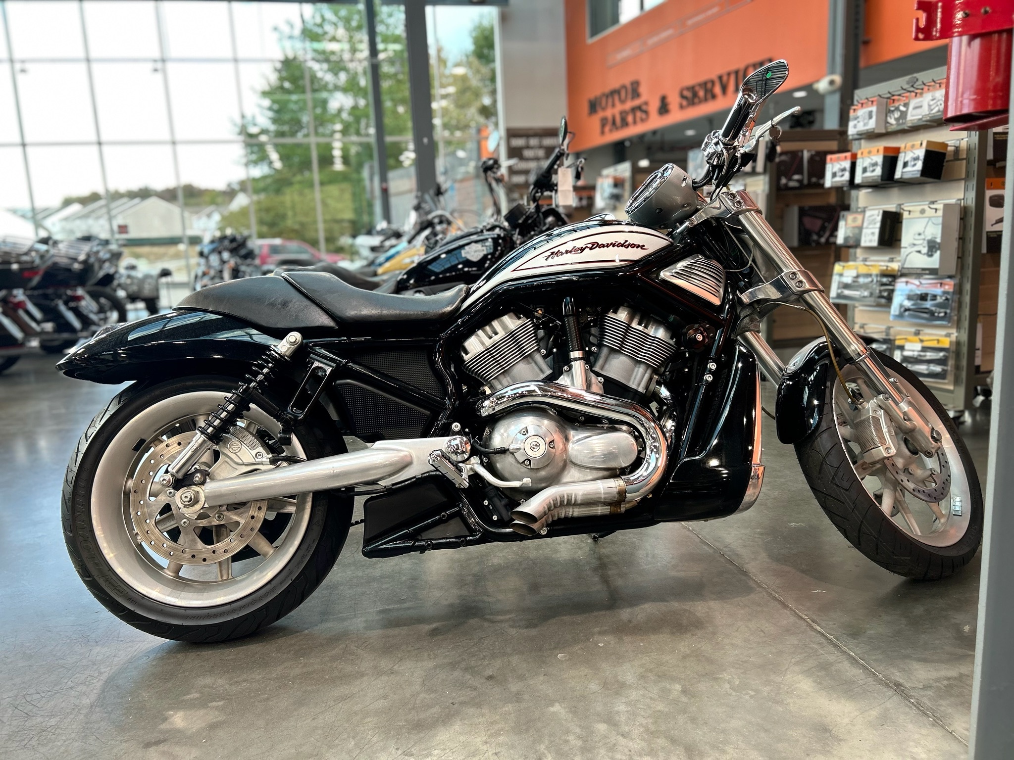 Used Motorcycles For Sale Near Fairview, TN - Cycle Trader