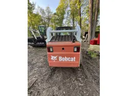 2012 BOBCAT T190