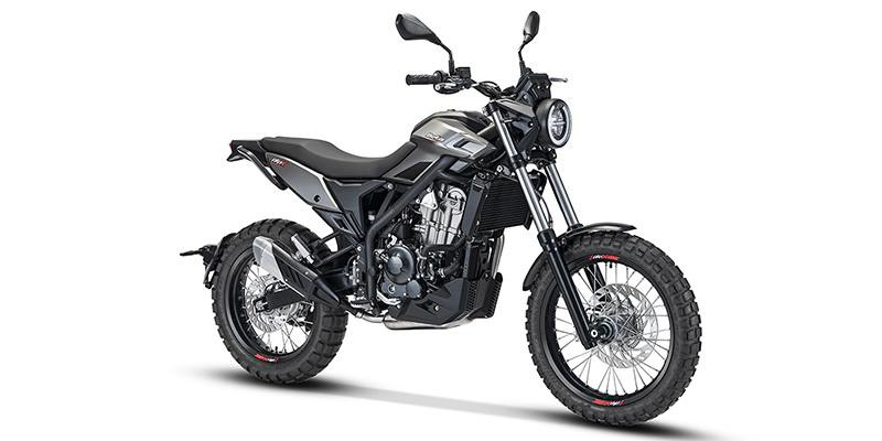 2026 Beta Motorcycles Alp 350 X X in Westerville, OH