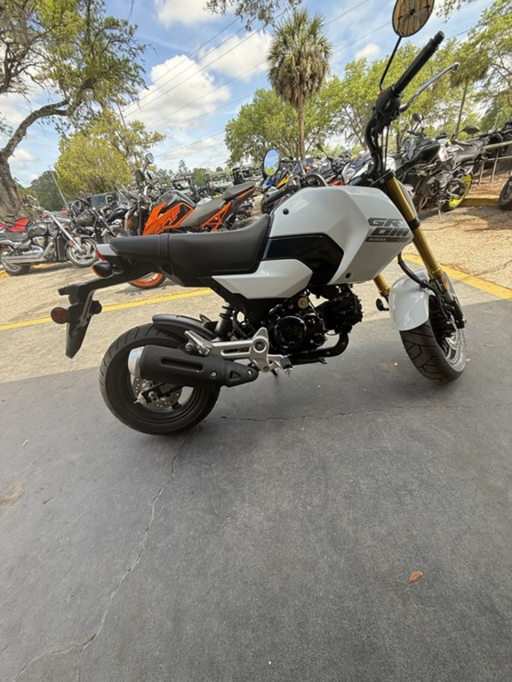 2025 Honda Grom ABS ABS in Gainesville, FL