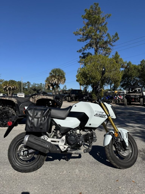 2025 Honda Grom ABS ABS in Gainesville, FL