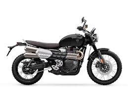 2025 Triumph Scrambler 1200 X X in Colorado Springs, CO