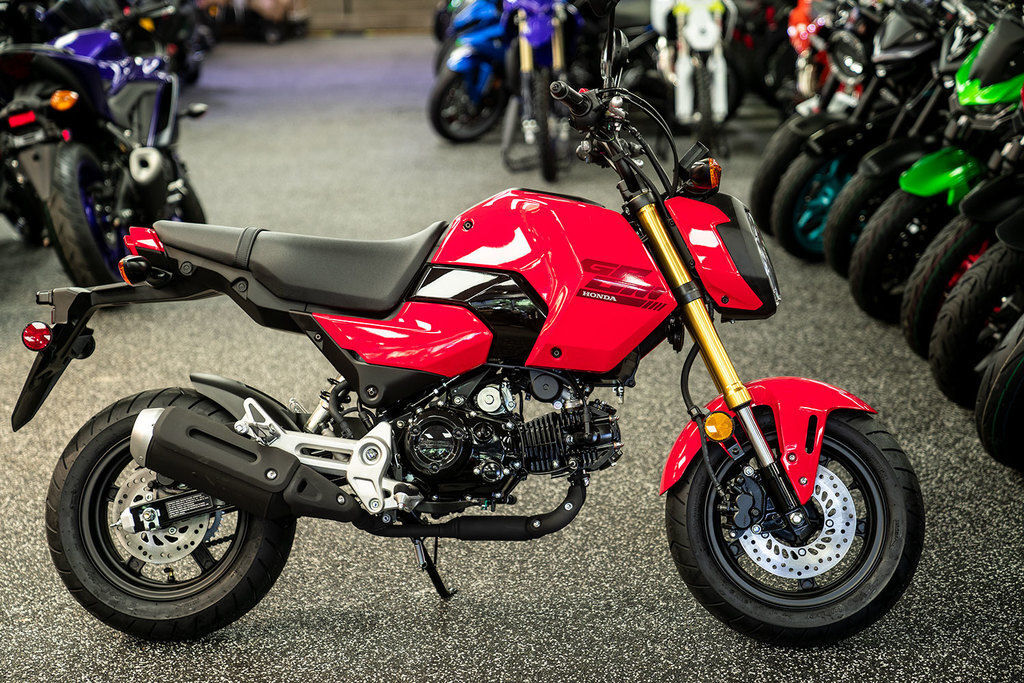2025 Honda® Grom in Upper Darby, PA