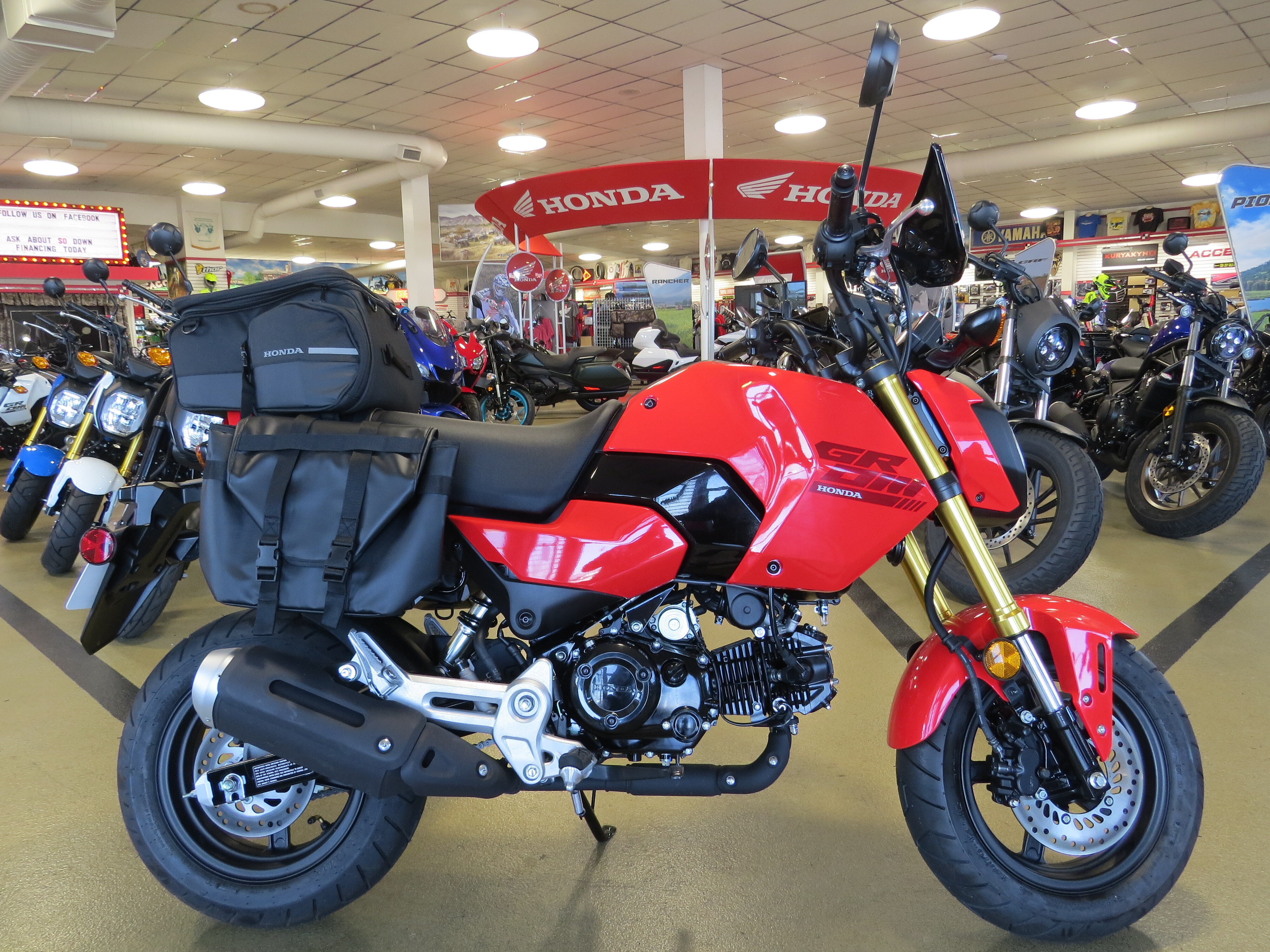 2025 Honda GROM Base in Litchfield, IL